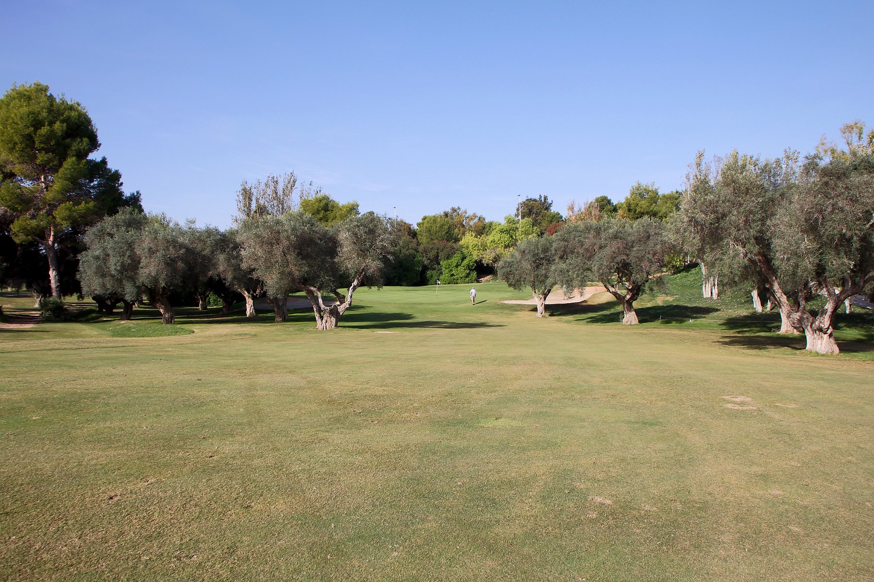 IMG_8676.JPG - Rigtig flot beliggende green omgivet af oliventræer.