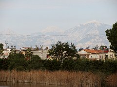 IMG_7244o